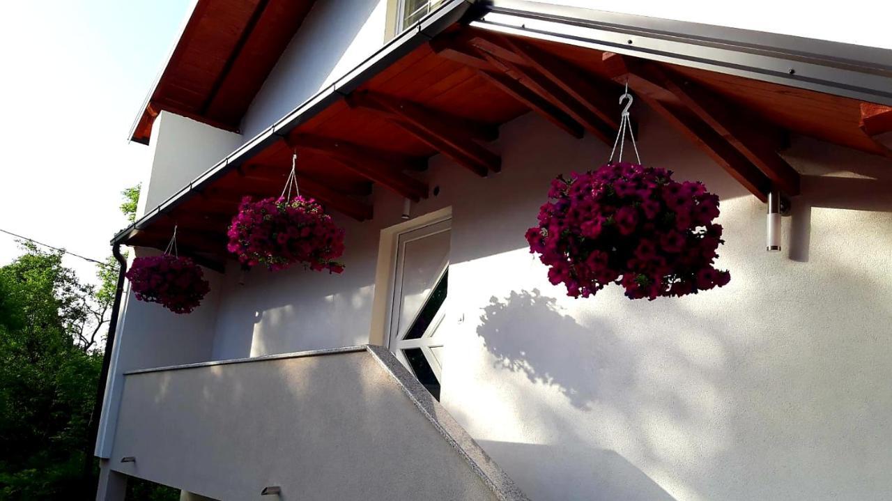 Apartmani Bilic Korenica Extérieur photo